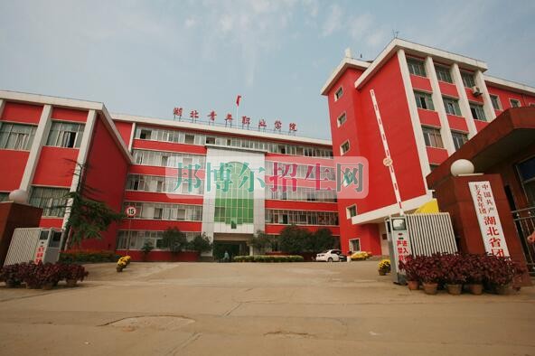 湖北青年職業(yè)學院是幾專