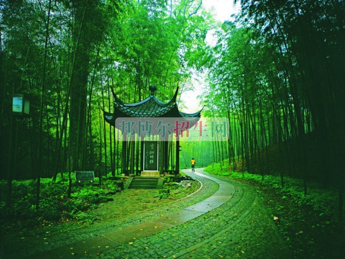 浙江同濟科技職業(yè)學(xué)院周邊環(huán)境