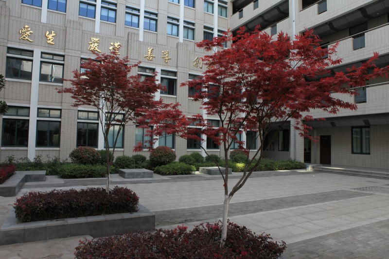 南京衛(wèi)生高等職業(yè)技術(shù)學校怎么樣、好不好