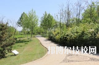 石家莊中英航空中等專業(yè)學(xué)校2020年報(bào)名條件、招生要求、招生對(duì)象