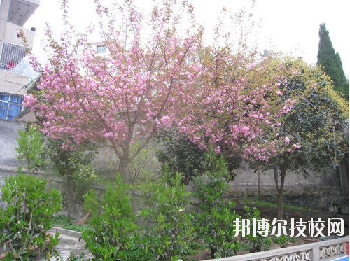嵐皋縣中等職業(yè)技術學校2020年報名條件、招生要求、招生對象