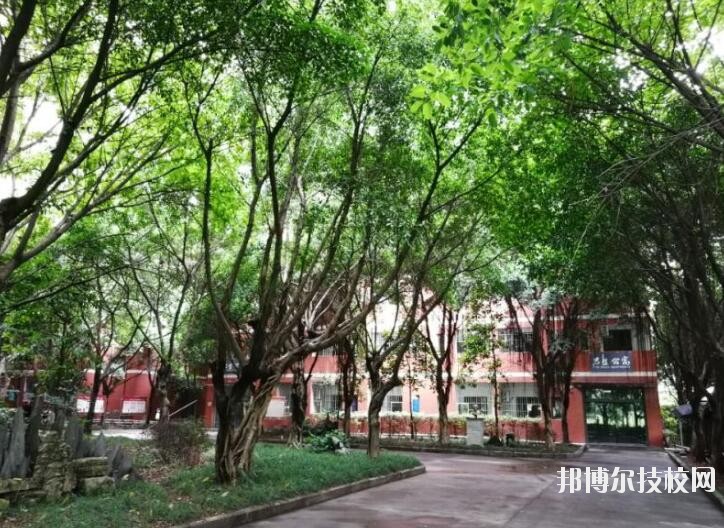 重慶舞蹈學(xué)校2020年報名條件、招生要求、招生對象