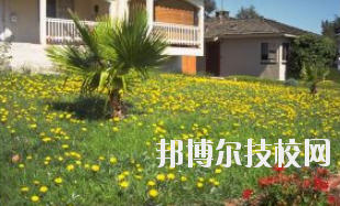 同學(xué)們需要依據(jù)自己所了解的情況來選擇學(xué)校，那么這也決定看同學(xué)們需要去了解這些學(xué)校的招生簡章，以便可以清楚的了解學(xué)校信息。下面就由小編給同學(xué)們介紹的有關(guān)于蘭州園藝學(xué)校招生簡章以及相關(guān)情況，以供大家參考了解。  蘭州園藝學(xué)校層次：中專  蘭州園藝學(xué)校性質(zhì)：公辦  蘭州園藝學(xué)校地址：蘭州市西固區(qū)范家坪  蘭州園藝學(xué)校介紹 蘭州園藝學(xué)校是全省唯一一所園藝、設(shè)施園藝、園林花卉、生態(tài)環(huán)境保護、建筑裝飾、旅游服務(wù)管理、計算機網(wǎng)絡(luò)技術(shù)、古建筑油漆彩畫等專業(yè)為一體的國辦全日制普通中等專業(yè)學(xué)校。  學(xué)校地處全省政治經(jīng)濟文化中心蘭州市,占地面積8萬平方米。有各類教學(xué)實驗室14個，擁有圖書館、閱覽室、組培室、微機室、語音室、電教室、校園網(wǎng)等各類教學(xué)設(shè)施。校園環(huán)境幽靜、空氣清新、規(guī)劃科學(xué)、設(shè)計獨特。校園內(nèi)溫?zé)釒Щɑ芷贩N齊全，三季有花，四季常青，教學(xué)生活設(shè)施齊全，師資力量雄厚校風(fēng)優(yōu)良。學(xué)校在珠海、深圳、上海、昆明、蘭州和平牡丹園等地有多處實習(xí)基地。學(xué)校以獨特的專業(yè)設(shè)置，超長的市場預(yù)測和嚴(yán)格的管理，為社會培養(yǎng)了大批實用型中等專業(yè)人才，畢業(yè)生就業(yè)面積廣，就業(yè)率高。  了解了蘭州園藝學(xué)校的信息后，就知道簡章也是可以用來選擇學(xué)校的。以上就是小編給大家整理的蘭州園藝學(xué)校招生簡章，想要了解更多有關(guān)于學(xué)校信息的同學(xué)們是可以直接咨詢了解邦博爾相關(guān)網(wǎng)站。
