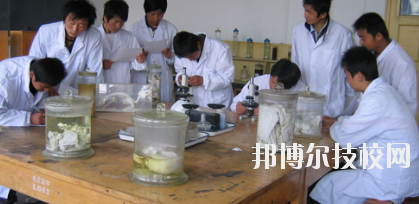 臨夏農(nóng)業(yè)學(xué)校2020年學(xué)費(fèi)、收費(fèi)多少