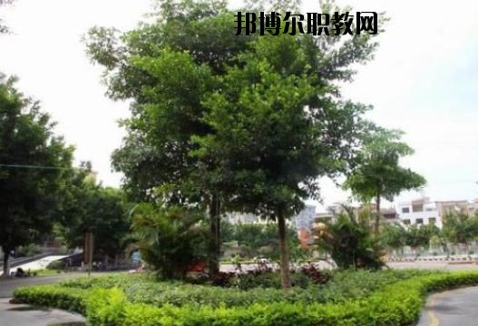 羅定中等職業(yè)技術(shù)學(xué)校2020年報(bào)名條件、招生要求、招生對(duì)象