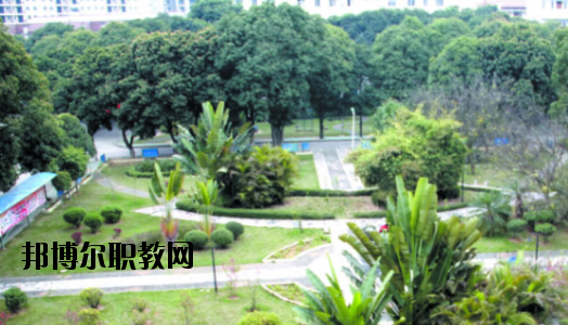廣西百色農(nóng)業(yè)學(xué)校2020年報名條件、招生要求、招生對象 