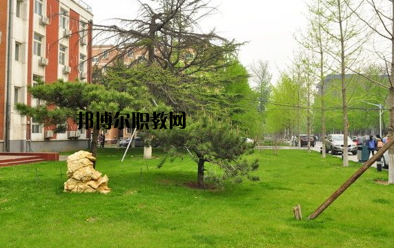 鄭州青年職業(yè)中等專業(yè)學(xué)校2021年報(bào)名條件、招生要求