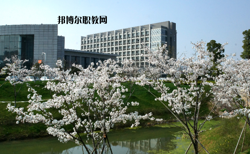 中國(guó)藥科大學(xué)2020年報(bào)名條件、招生要求、招生對(duì)象