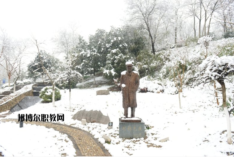 南京工業(yè)大學(xué)2020年報(bào)名條件、招生要求、招生對(duì)象
