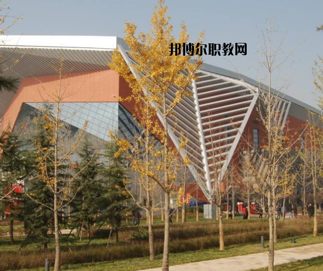 宜昌體育運(yùn)動(dòng)學(xué)校怎么樣、好不好