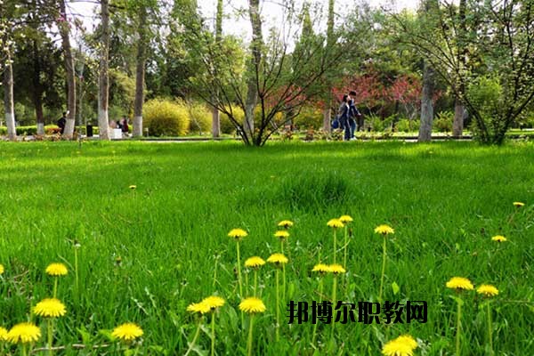 雙江縣職教中心怎么樣、好不好