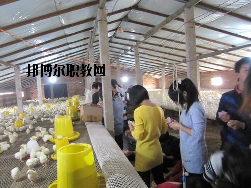 通許中等職業(yè)學(xué)校2021年學(xué)費、收費多少