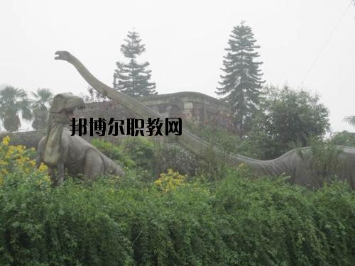 自貢三星職業(yè)技術(shù)學(xué)校2020年報(bào)名條件、招生要求、招生對(duì)象