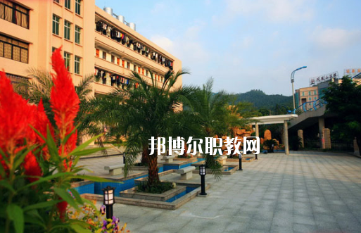廣東省林業(yè)職業(yè)技術(shù)學(xué)校2020年報名條件、招生要求、招生對象