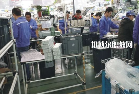 遂溪縣職業(yè)技術(shù)學(xué)校2020年報(bào)名條件、招生要求、招生對(duì)象