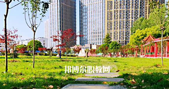 合肥飛躍學(xué)校2020年報名條件、招生要求、招生對象 