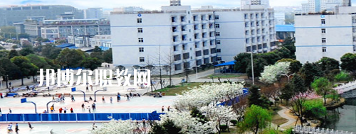 四川交通職業(yè)技術學院2022年報名條件、招生要求、招生對象