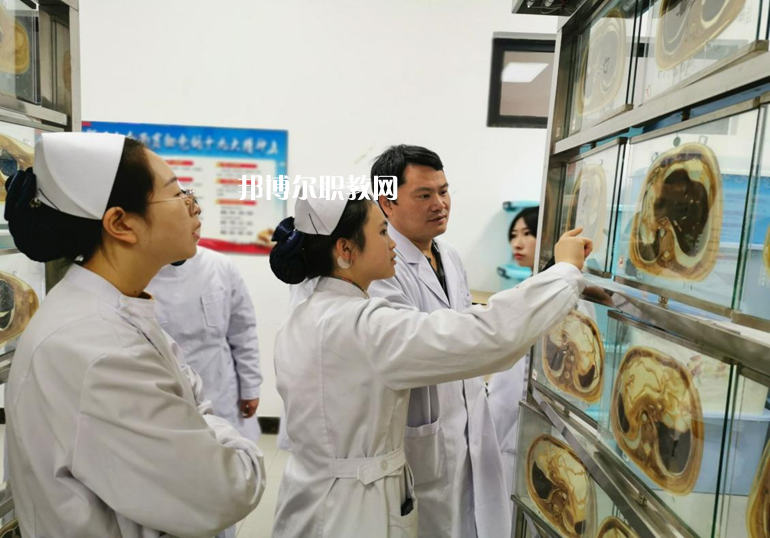 甘肅2022年衛(wèi)校什么專(zhuān)業(yè)有前途