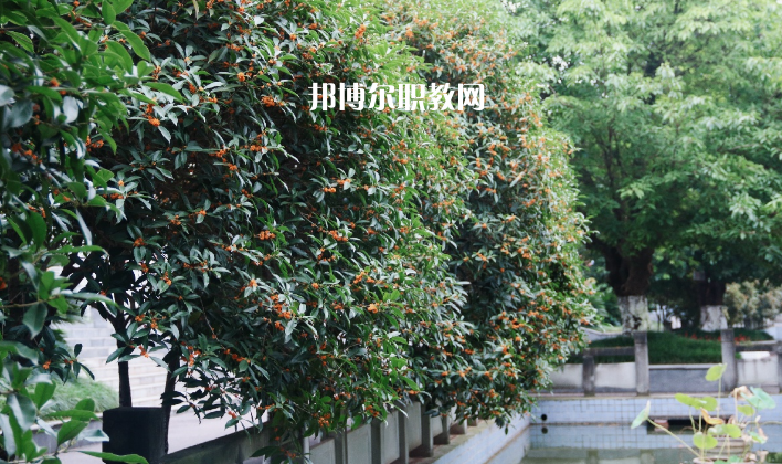 德陽通用電子科技學校怎么樣、好不好