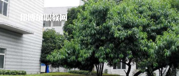 成都市中山職業(yè)技術(shù)學(xué)校2022年報(bào)名條件、招生要求、招生對(duì)象
