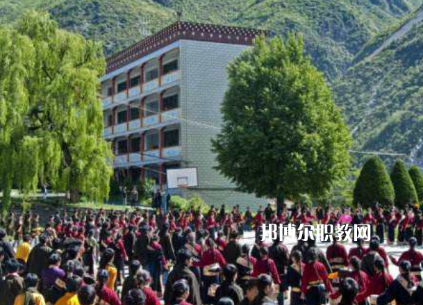 四川省藏文學(xué)校2022年報(bào)名條件、招生要求、招生對(duì)象