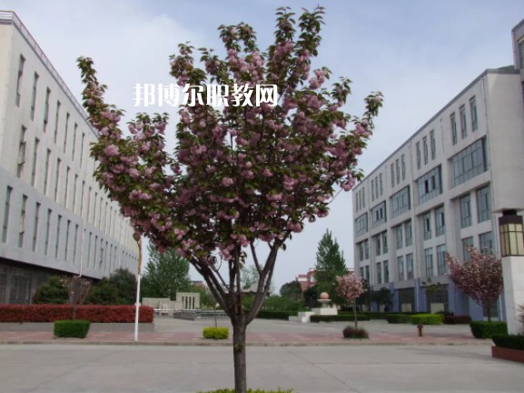 陳倉區(qū)職業(yè)教育中心2022年報(bào)名條件、招生要求、招生對象