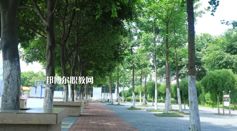 鎮(zhèn)雄縣職業(yè)高級中學2022年報名條件、招生要求、招生對象