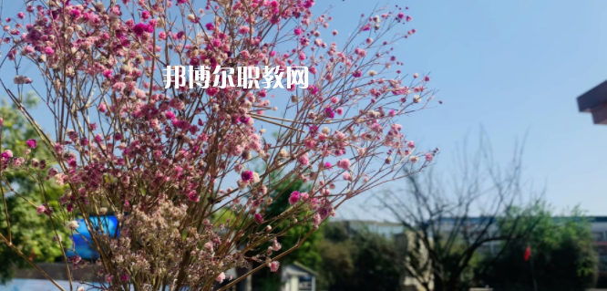 成都華大醫(yī)藥衛(wèi)生學(xué)校怎么樣、好不好