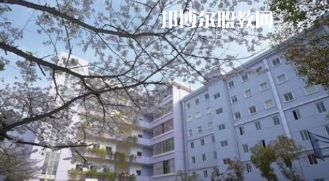 武漢體育舞蹈藝術(shù)學(xué)校2022年怎么樣、好不好