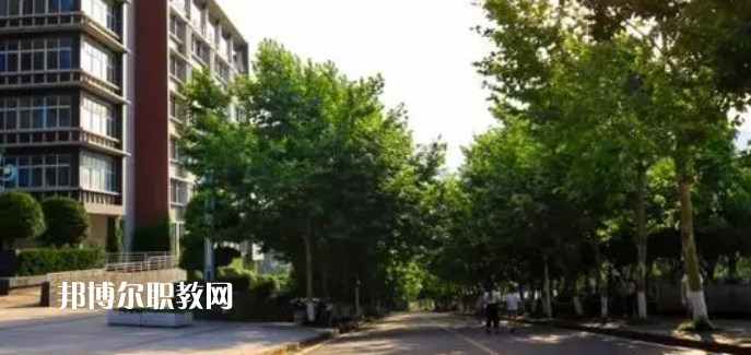 重慶醫(yī)藥高等?？茖W(xué)校好不好_2023年有單招嗎