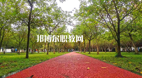 2023年四川國盛技工學(xué)校醫(yī)護(hù)救援部學(xué)費(fèi)、收費(fèi)多少