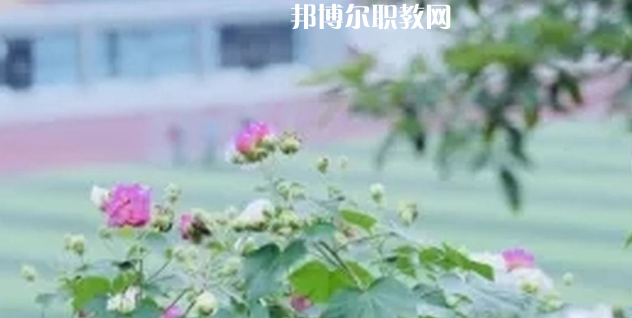 眉山技師學(xué)院地址在哪里，哪個(gè)地區(qū)，哪個(gè)城市?
