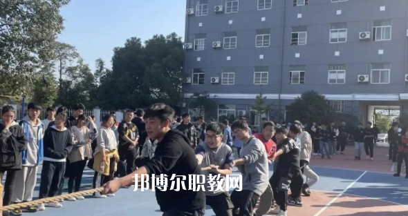 2023杭州僑星中學招生計劃 招生人數(shù)是多少(附要求、條件、對象)