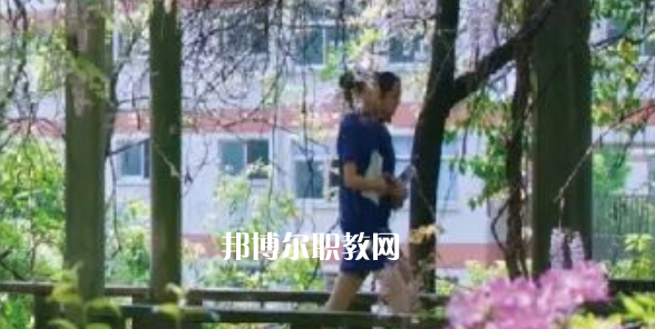 2023金華市成功學(xué)校招生計(jì)劃 招生人數(shù)是多少(附要求、條件、對(duì)象)