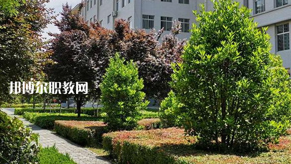 2023渭南技師學院招生計劃 招生人數(shù)是多少(附要求、條件、對象)
