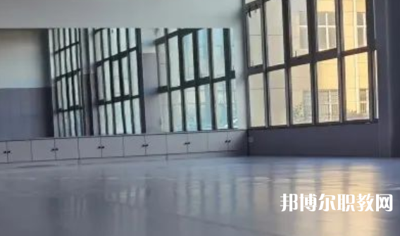 2023秦皇島市藝新舞蹈學(xué)校招生計劃 招生人數(shù)是多少(附要求、條件、對象)