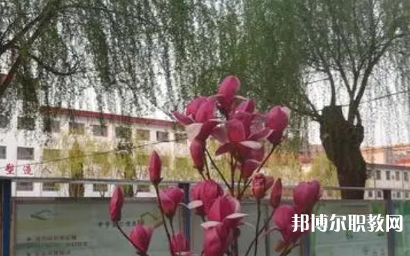 2023柏鄉(xiāng)縣職教中心招生計劃 招生人數是多少(附要求、條件、對象)
