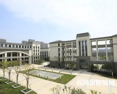 杭州中策職業(yè)學(xué)校2023年招生錄取分數(shù)線（2024參考）
