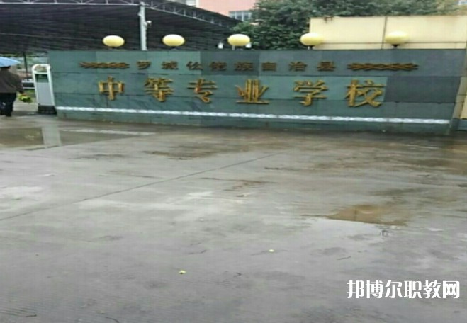 2024羅城仫佬族自治縣中等專業(yè)學校招生計劃 招生人數(shù)是多少(附要求、條件、對象)
