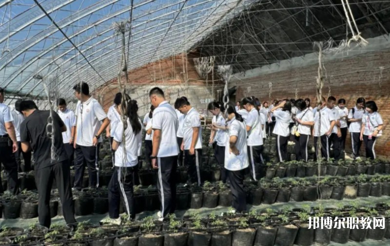 2024營(yíng)口市農(nóng)業(yè)工程學(xué)校招生計(jì)劃 招生人數(shù)是多少(附要求、條件、對(duì)象)