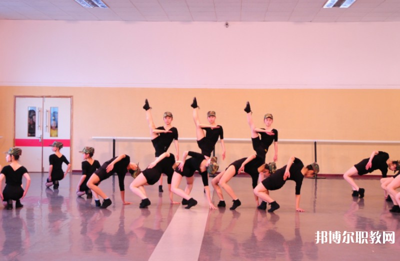 2025遼寧文化藝術學校招生計劃 招生人數(shù)是多少(附要求、條件、對象)