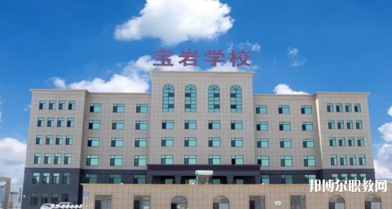 2025沈陽寶巖藝術(shù)學(xué)校招生計(jì)劃 招生人數(shù)是多少(附要求、條件、對(duì)象)