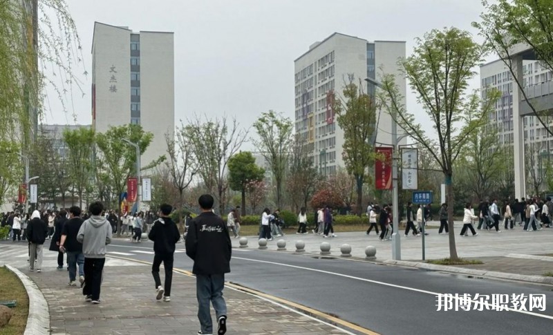 2025合肥技師學(xué)院招生計(jì)劃 招生人數(shù)是多少(附要求、條件、對(duì)象)