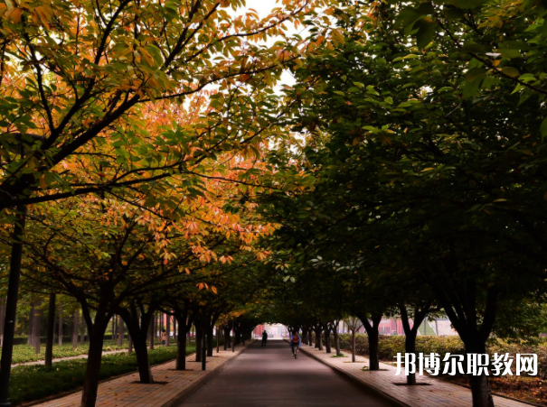2025昆明公辦中專(zhuān)學(xué)校最新排名前三名單