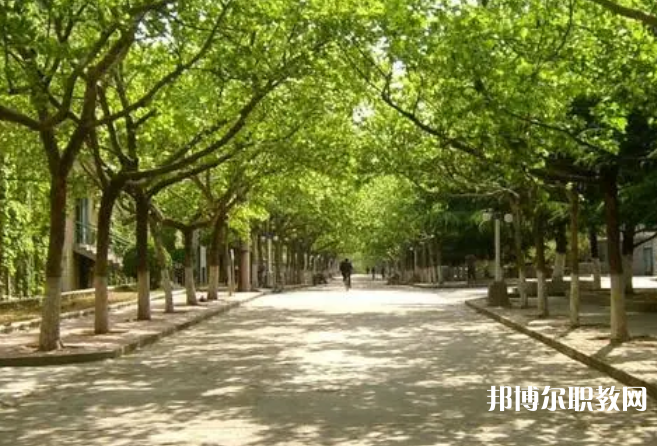 成都2025年讀鐵路學(xué)?？梢钥即髮W(xué)嗎